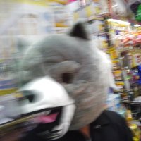 黒影 (@k5ulmlv4wgl39zk) 's Twitter Profile