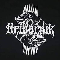 Hribernik Skateboards(@SkateHribernik) 's Twitter Profile Photo