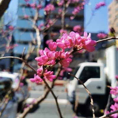 アラフォー共働き｜ビーファースト好き｜自他共に認めるコミュ障｜子供が発達グレーかも?｜最近カサンドラ症候群な気がする