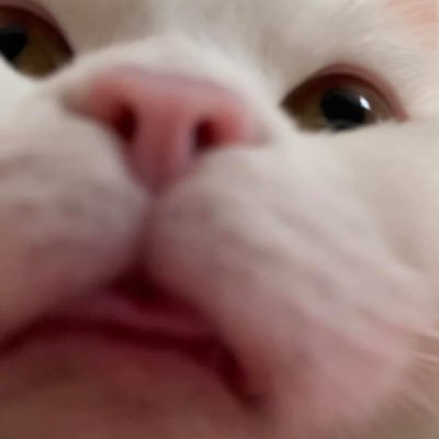 _due228's profile picture. CNBLUE 정용화 🐲 GOT7 잭슨 🐶 옹성우✨ The stars gather together, you shine upon me and light me up. - STAY622