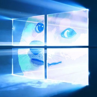windoge1337's profile picture. Just trying to undestand Blockchain as a whole and hodling a few interesting low cap projects