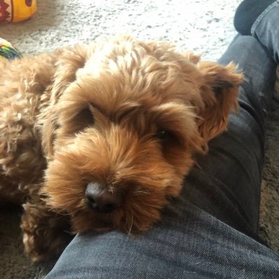 bensimpkins1989's profile picture. 