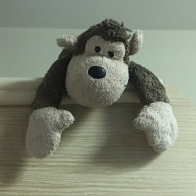 NavyFty's profile picture. HongKonger🇭🇰 歡迎志同道合的手足互相follow.