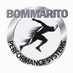 Bommarito Performance Systems (@BOMMARITOS) Twitter profile photo