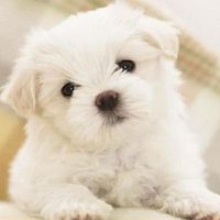 jmp_sweney (@jmp_sweney00001) 's Twitter Profile