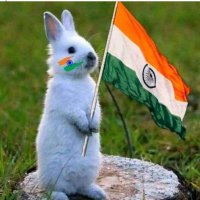 Anupam sharma (@anupams45368951) 's Twitter Profile