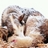 wald38317's profile image