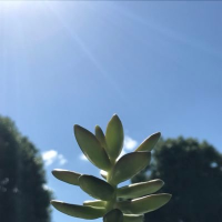 かがやこうすけ (@repputenku) 's Twitter Profile Photo かがやこうすけ (@repputenku) 's Twitter Profile Photo