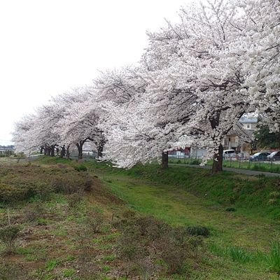 温泉♨️と麺類🍜、鰻、…そしてRUN🏃好きの高齢者⁉️です。