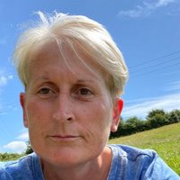 Val Walsh (@valwalshcitb) 's Twitter Profile