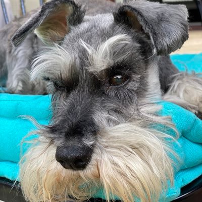 fizzb67's profile picture. Full Time Working mother !!!!!!!!!