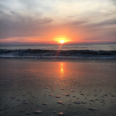 amymoll16's profile picture. Kindergarten teacher, soccer mom, 4 kids =chaos!