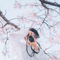 櫻子🌸エモ写真旅、埼玉県広報アンバサダー(@sako_photo) 's Twitter Profile Photo