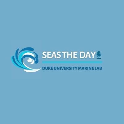 Seas the Day Podcast