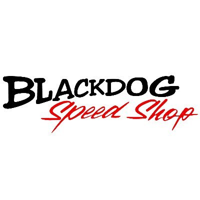 Blackdog provides upgrades and customization for use on the street or track | Four-Time SRO America GT4 Series Championships