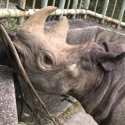 とまこ。さんのプロフィール画像