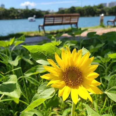 robitto2020's profile picture. 日々平穏（を希望w）いろんなことつぶやいてます。WST-ES60で音楽聞きながら通勤が趣味の時間🎧️