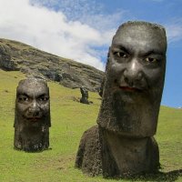 Highway 86 (@eternal_dahlia) Twitter profile photo