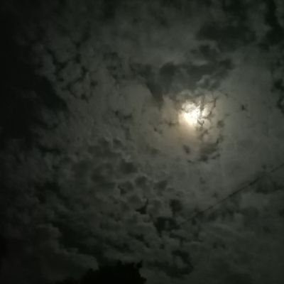 高卒済み/20歳すぎたジャンルごったの夢・腐雑食垢
刀剣/twst/rnfrn/aknk/etc...
見る専
無言フォロー失礼致します🙇🏻🙇🏻🙇🏻