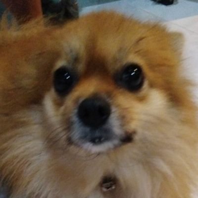 BHX_BKK's profile picture. 