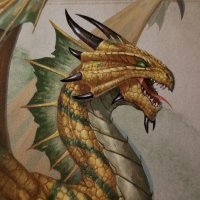 Dragon Energy Racing 🐲🏁⚔(@DragonEnergyR) 's Twitter Profile Photo