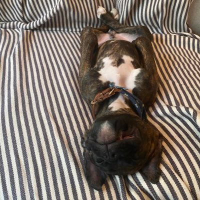 BenLessner's profile picture. Houston, TX