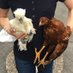 Hacks 🌏 DIY 🏕️🪚🐓 (@mylifehacksdiy) Twitter profile photo Hacks 🌏 DIY 🏕️🪚🐓 (@mylifehacksdiy) Twitter profile photo