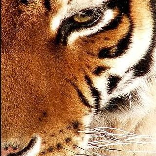 TeamNuStrong's profile picture. NuStrong is a group of Personal Trainers motivated to spreading TRUE health and fitness.