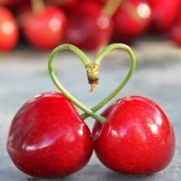 كرز🍒 (@q9qdtgwsjchp2sg) 's Twitter Profile