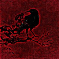 HWA Chicago Chapter (@chicagohwa) 's Twitter Profile Photo HWA Chicago Chapter (@chicagohwa) 's Twitter Profile Photo