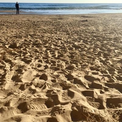 ErwinAnfaier's profile picture. Brainstorming? VOLARCOLOMING!!!