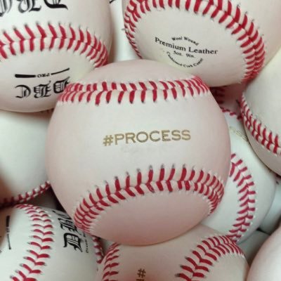 AHSCoachPerkins's profile picture. Alvirne baseball