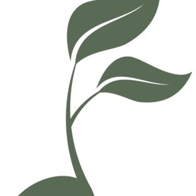 NewSongLondon's profile picture. NewSong Academy of Music: Voice and Piano Lessons in London, Ontario