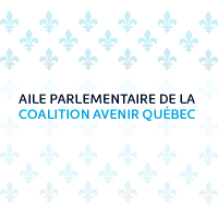 Aile parlementaire de la CAQ (@assnatcaq) 's Twitter Profile