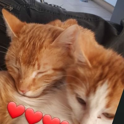 JuanMati5's profile picture. ola