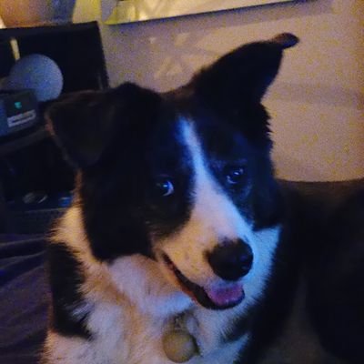 ChTr00's profile picture. p&p