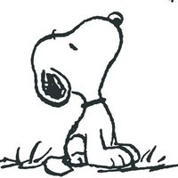 Cyclops-IC 🕵️‍♂️ (@mud_ic) 's Twitter Profile Photo