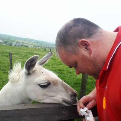 Finbarr O'Sullivan Profile