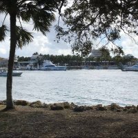 R. RoRo (@roxierolo) 's Twitter Profile