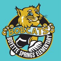 Boyette Springs Elementary School(@BSE_Bobcats) 's Twitter Profile Photo