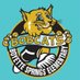 Boyette Springs Elementary School (@BSE_Bobcats) Twitter profile photo