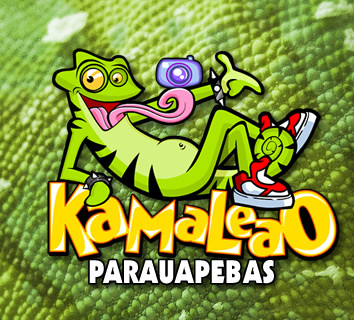 kamaleao_pebas's profile picture. Onde Tem Festa, Tem Kamaleao!