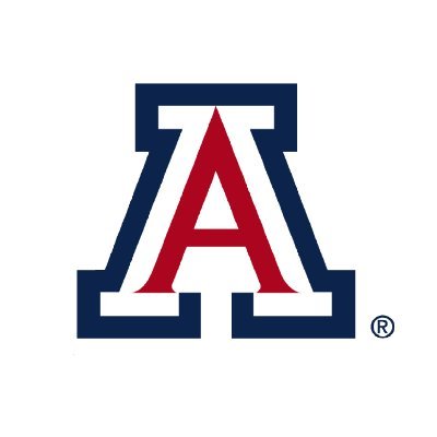 UArizonaSBS Profile Picture