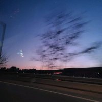 Zarry Cryptor (@zarry_cryptor) 's Twitter Profile