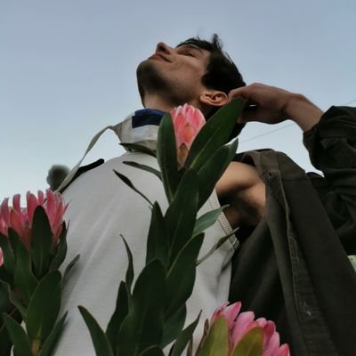 kristhoffe's profile picture. Rebranding