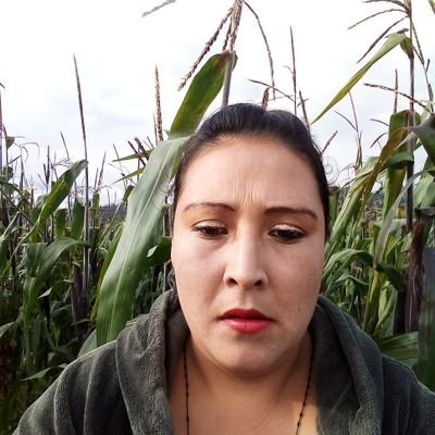 Jose53574386's profile picture. 