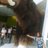 Mar_Renteria's profile image