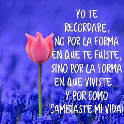 Alejand40306471's profile picture. «Donde no hay justicia,no hay libertad »