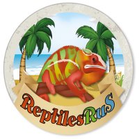 ReptilesRuS(@Reptiles_RuS) 's Twitter Profile Photo