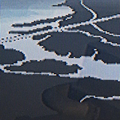 xXOPRO3Xx's profile picture. 